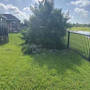 Bush Trimming by Precision Landscaping & more reviewed on October 27, 2022