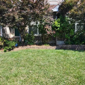 Bush Trimming by J&R Lawncare reviewed on July 22, 2020