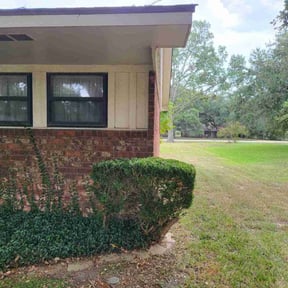 Bush Trimming by AG lawn service reviewed on July 8, 2022