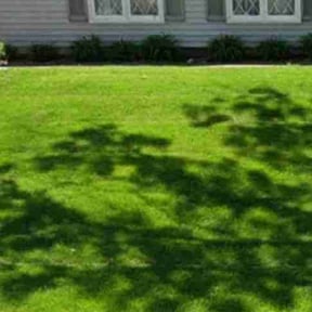 Bush Trimming by MOW AND GO reviewed on July 12, 2022
