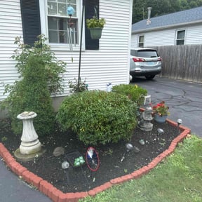 Bush Trimming by The Backyard Barbers reviewed on June 16, 2022