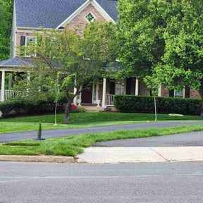 Bush Trimming by Carbon Dioxide Recyclers reviewed on April 28, 2025