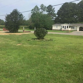 Bush Trimming by MaXX Lawn and Landscaping LLC reviewed on July 1, 2022