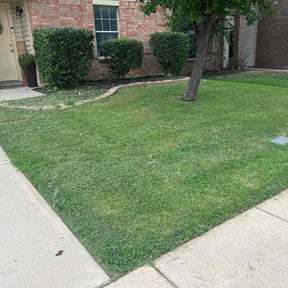 Bush Trimming by 3 brothers reviewed on June 22, 2022