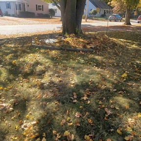 Cleanups by iMowLawnService reviewed on June 10, 2022