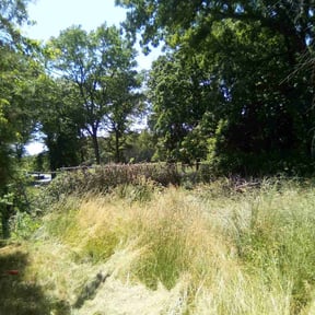 Landscaping by C&A remodeling llc reviewed on June 22, 2022