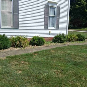 Flower Bed Weeding by Green Matters Lawn Care reviewed on June 7, 2025