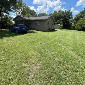 Bush Trimming by TX Lawn Services reviewed on June 24, 2025