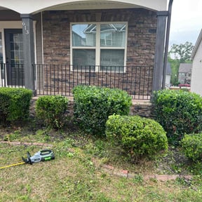 Bush Trimming by Professinal Yard Men reviewed on July 22, 2022