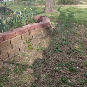 Leaf Removal by BD's Platinum Lawncare LLC reviewed on May 4, 2022