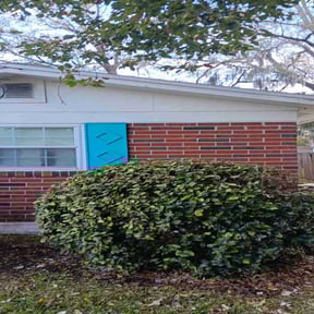 Bush Trimming by Waters Landscaping reviewed on March 29, 2025