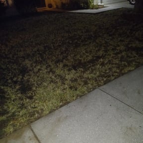 Leaf Removal by Wichi landscaping reviewed on September 30, 2024