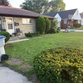 Bush Trimming by Strategically Designed Property Solutions reviewed on July 14, 2022