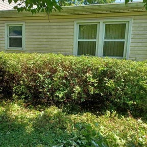 Bush Trimming by Smitty's Lawncare reviewed on July 21, 2025