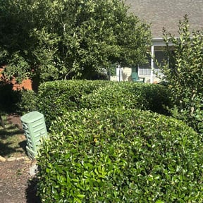 Bush Trimming by Sunnyside Lawn care reviewed on April 15, 2022
