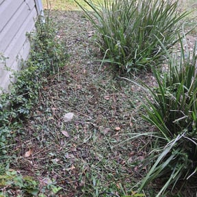 Flower Bed Weeding by Them Joneses reviewed on December 18, 2024