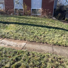 Leaf Removal by Flores Lawn Care Co. reviewed on May 28, 2025