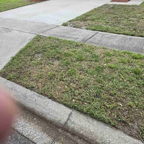 Leaf Removal by Shear Guardians Lawn Service reviewed on July 14, 2022