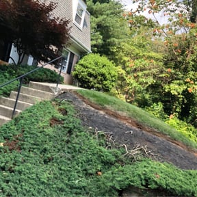 Flower Bed Weeding by Landscape & Mowing reviewed on July 30, 2025