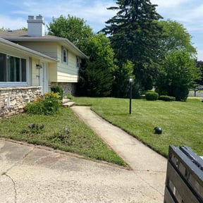 Bush Trimming by Planet one landscape & Lawncare, LLC reviewed on November 3, 2021