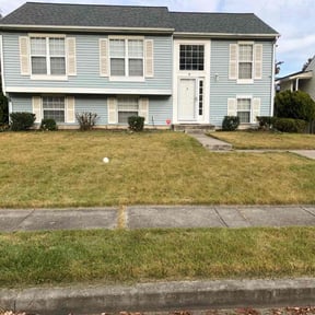 Bush Trimming by Alo's lawn care services LLC reviewed on May 4, 2022