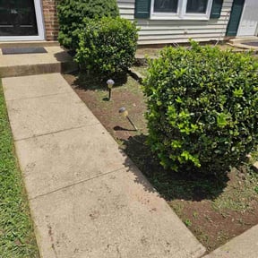 Flower Bed Weeding by Impactt Landscaping, LLC reviewed on July 21, 2022