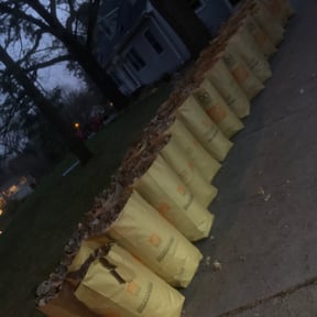 Leaf Removal by Jerry's lawn service reviewed on July 29, 2022