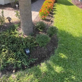 Flower Bed Weeding by Campbell's lawns reviewed on August 27, 2024