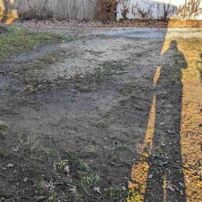 Leaf Removal by D's Lawn Care reviewed on December 7, 2021