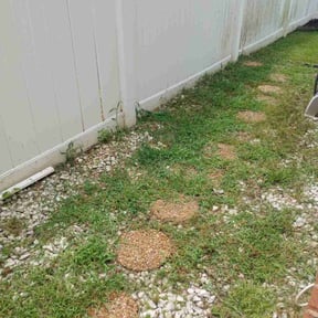 Weeding by T &O Landscape Service LLC reviewed on June 20, 2024