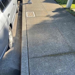 Leaf Removal by james lawn service reviewed on July 7, 2022