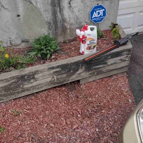 Flower Bed Weeding by Faire N Square reviewed on November 8, 2021