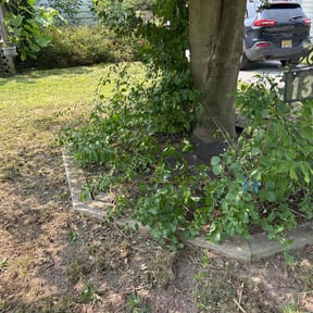 Leaf Removal by Old Skool Outdoorz, LLC reviewed on July 23, 2022