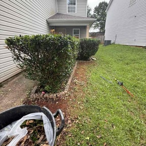 Bush Trimming by Walkernmore reviewed on April 21, 2025