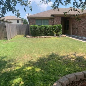 Bush Trimming by TNT Lawn Care reviewed on April 27, 2022