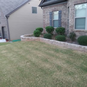 Bush Trimming by Metamorphosis Landscaping reviewed on June 9, 2025