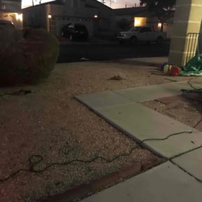 Weeding by MNS Services reviewed on August 24, 2024