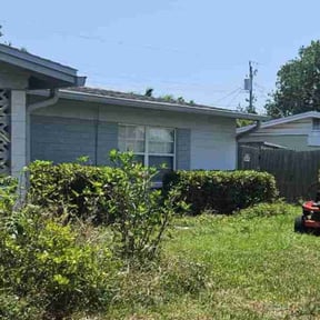 Bush Trimming by electric landscaping llc reviewed on December 17, 2024