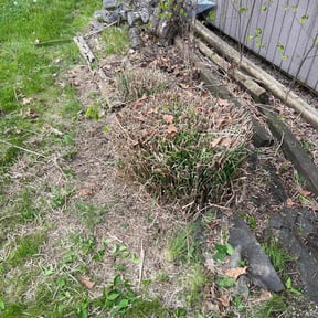 Bush Trimming by Greenland Landscaping and Tree Service reviewed on December 13, 2024