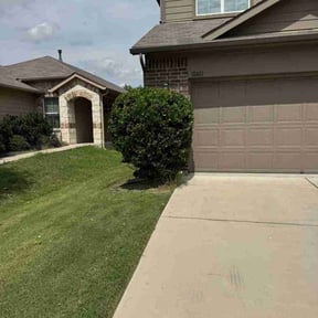 Bush Trimming by Country Cuts Landscapes & Renovations reviewed on June 16, 2022