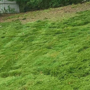 Leaf Removal by J & A lawn Maintenance LLC reviewed on July 28, 2022