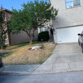 Bush Trimming by LSLTAustin/SanAntonioEmerald reviewed on February 27, 2025