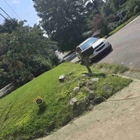 Flower Bed Weeding by Mr Kut It LLC reviewed on November 11, 2024