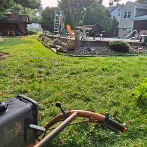 Weed Pulling by LSLTDallas/FortWorthTruGreen reviewed on June 10, 2025