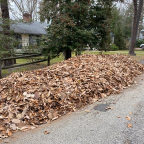 Cleanups by Go Green Landscaping Services reviewed on April 26, 2022