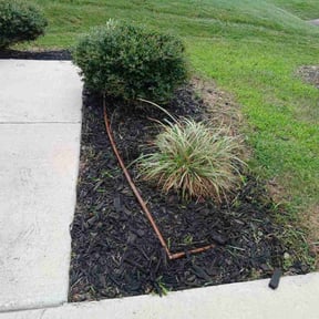 Flower Bed Weeding by D&N Anointed Services reviewed on April 12, 2022