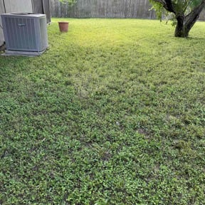 Weeding by West Texas Lawns and More reviewed on March 7, 2022