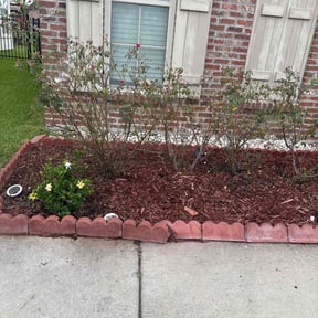 Weeding by Earthmovers Landscaping reviewed on March 19, 2025