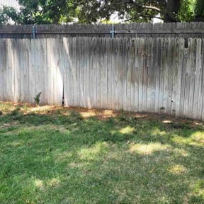 Cleanups by Livery Services LTD, llc reviewed on May 27, 2022