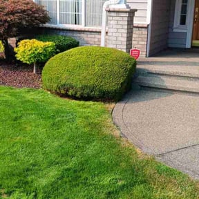 Bush Trimming by Paradise Landcare reviewed on August 5, 2024